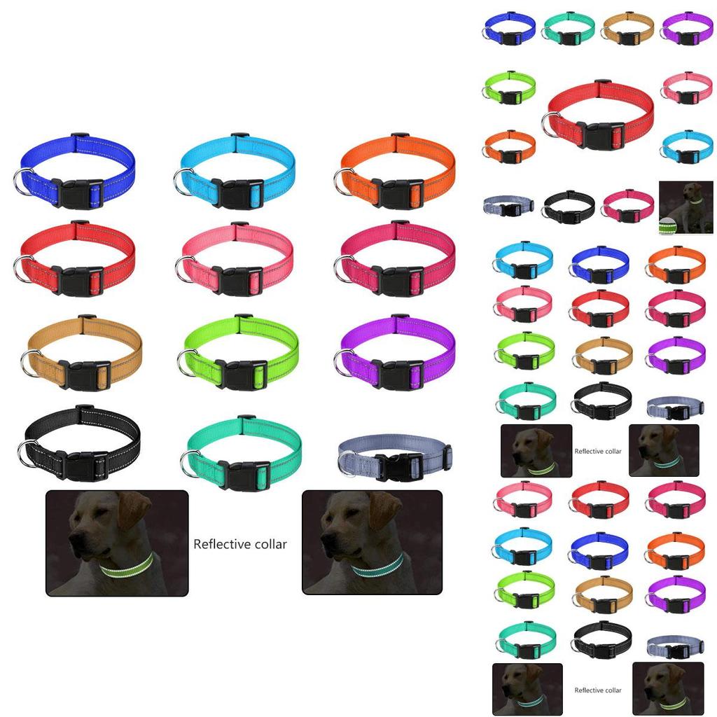 Durable Reflective Neoprene Dog Collar Available In 12 Vibrant Colors And 5 Sizes