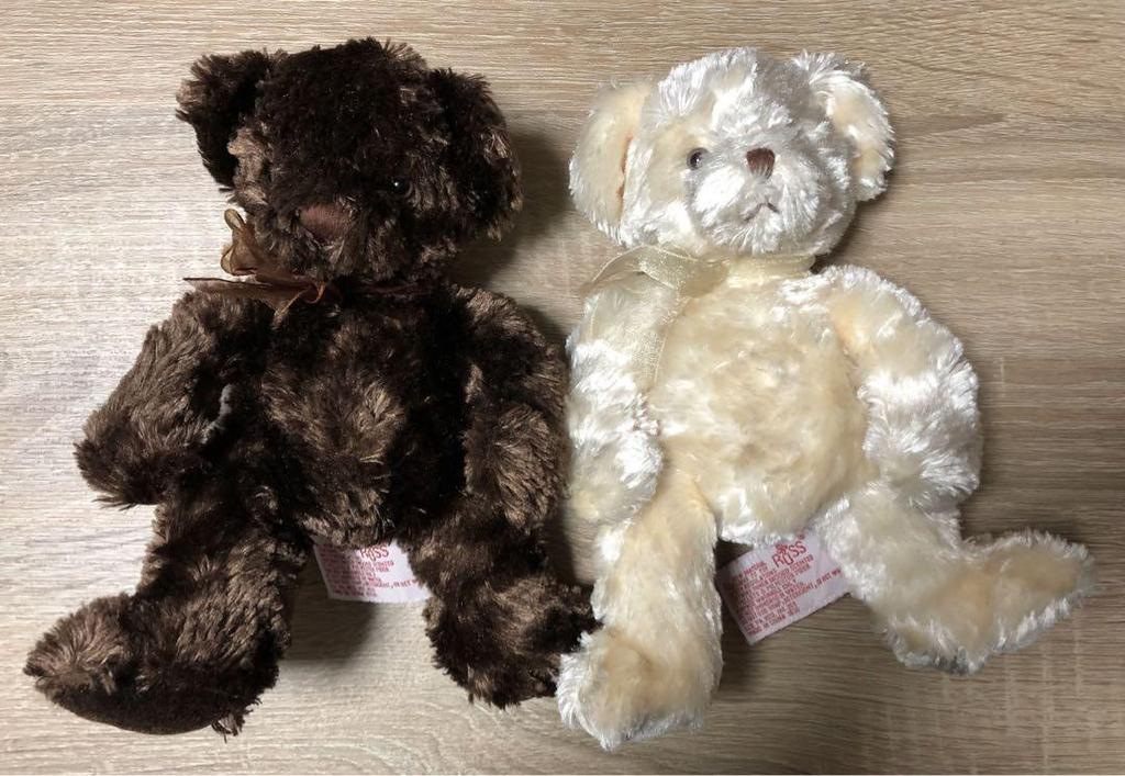 [USED] ROSS Teddy Bear Chocolate & Sugar (2 Pieces)