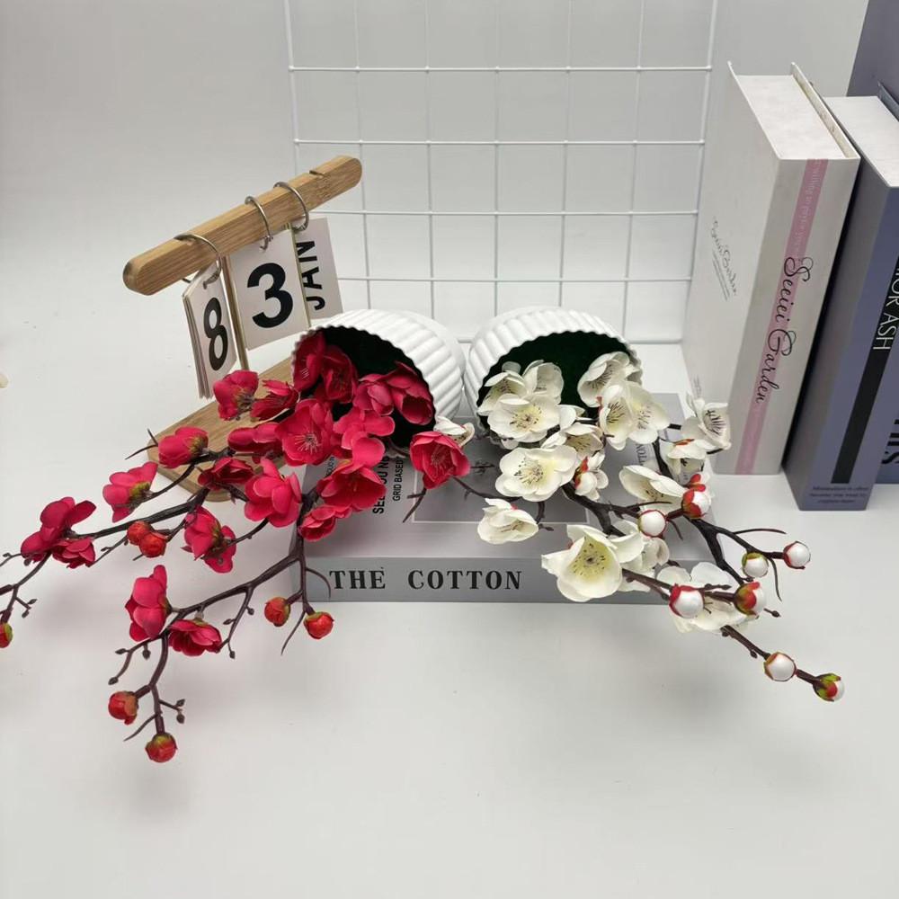 Praecox Flower Chimonanthus Basin Decorative Potted Plant For Home Office Gift