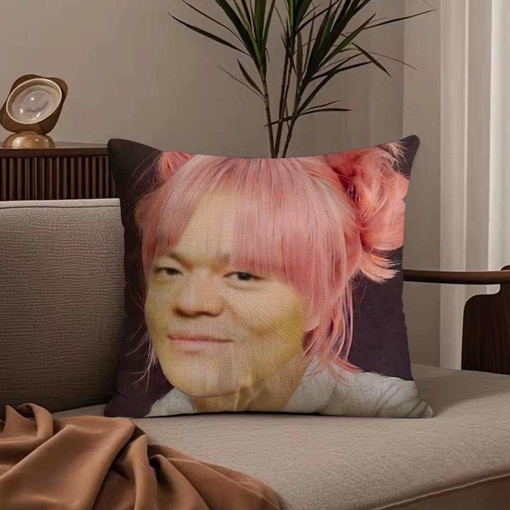 Funny J-JYP Meme Pillow Case Anti-dustmite Pillowcase Invisible zipper silky short plush Sofa cushion cover