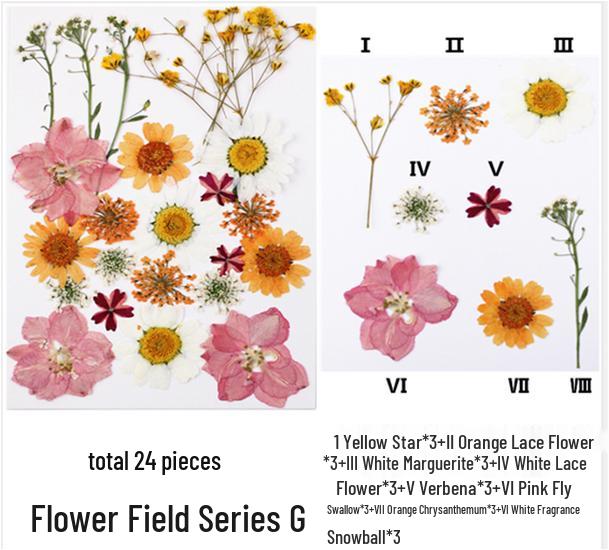 Handmade Kindergarten Collage: Real Dried Leaf and Flower Stickers for Face and Photo Decoration