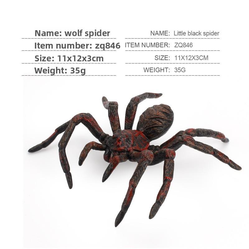 Spider Model Set With Plastic Material For Home Decor And Gift For Nature Lovers