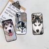 CJ66 Husky Puppy Dog Soft Shell Phone Case for Samsung Galaxy S20 S21 S22 Ultra FE + Plus A21S A22 A24 A25 A26 A30 A30S A31
