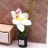 1:12 Dukkehus Miniature Phalaenopsis Blomsterpotte Potteplanter Have Hjem Model Dekoration Legetøj Dukkehus Tilbehør