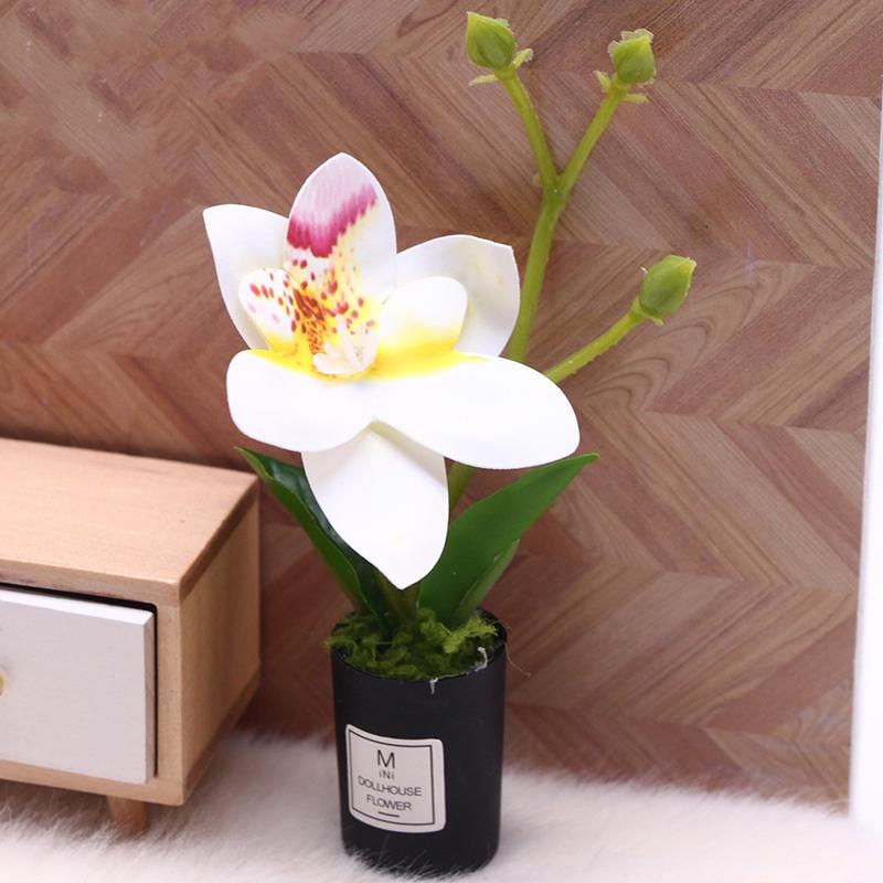 1:12 Dukkehus Miniature Phalaenopsis Blomsterpotte Potteplanter Have Hjem Model Dekoration Legetøj Dukkehus Tilbehør
