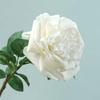 Decorațiuni pentru casă – Flori decorative şi coroane de flori