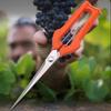 Professional Bypass Pruning Shears, Stainless Steel Garden Scissors with Sharp Blade & Safety Lock, Ideal for Grape Vines