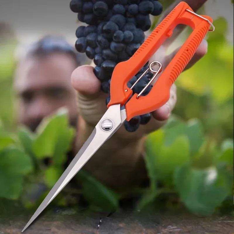 Professional Bypass Pruning Shears, Stainless Steel Garden Scissors with Sharp Blade & Safety Lock, Ideal for Grape Vines