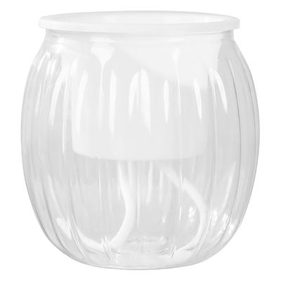 1 Pezzo Vaso da Fiori Trasparente a Forma di Zucca Resina Addensata Livello dell'Acqua Visibile Bacino Auto-Irrigante Pigro Ornamenti da Tavolo