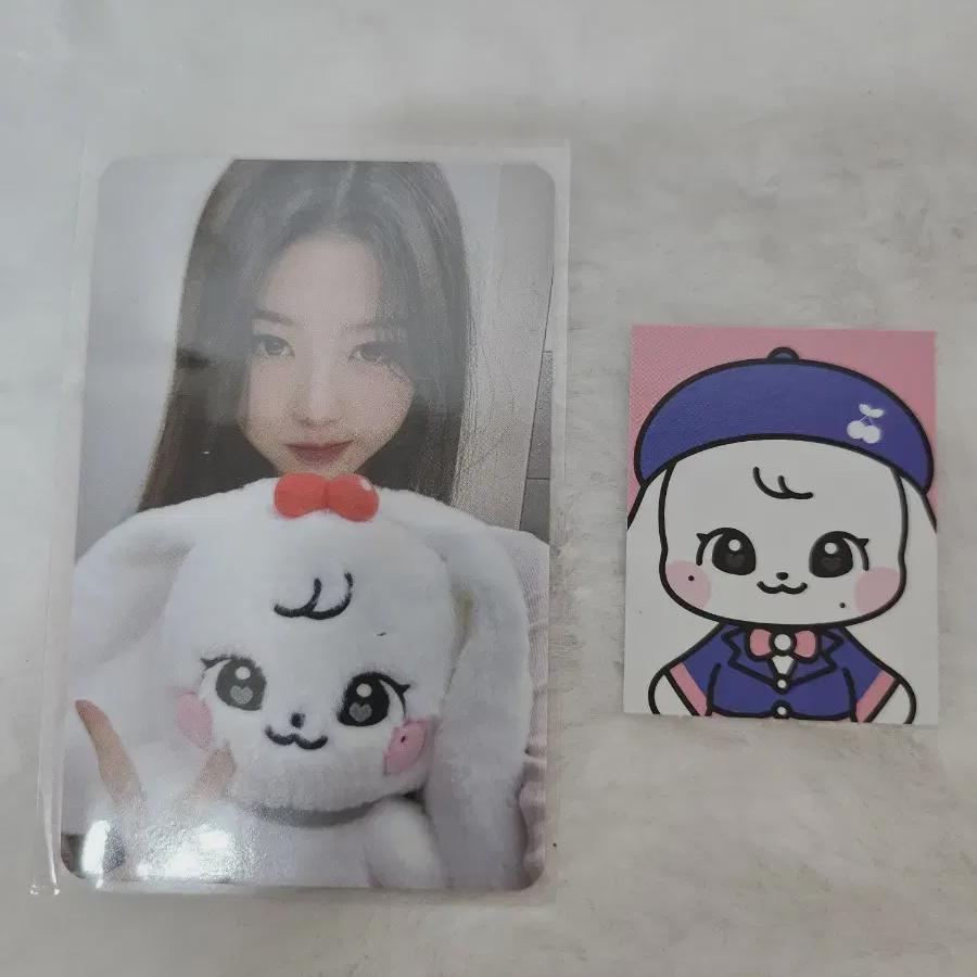 

Ive Ive Minive Minive Cherry Ning 30cm Pokaman + Cherry Ceremony