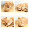 Interactive Super Big 10CM Sisal Cat Ball Toy with Sound for Kittens Teeth Cleaning Anti Bite Scratching Ball Pet Supplies