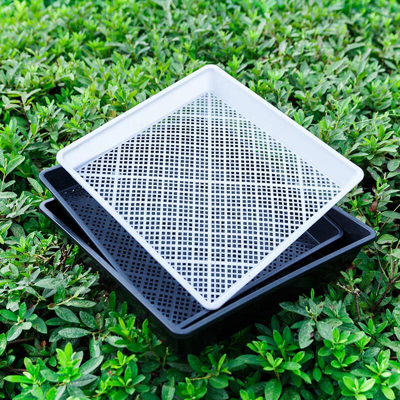 KEYSHEEL Plastic Rectangular Seedling Tray
