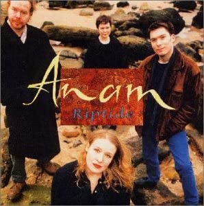 

CD ANAM - Riptide VICP60242 Japan Rock Used