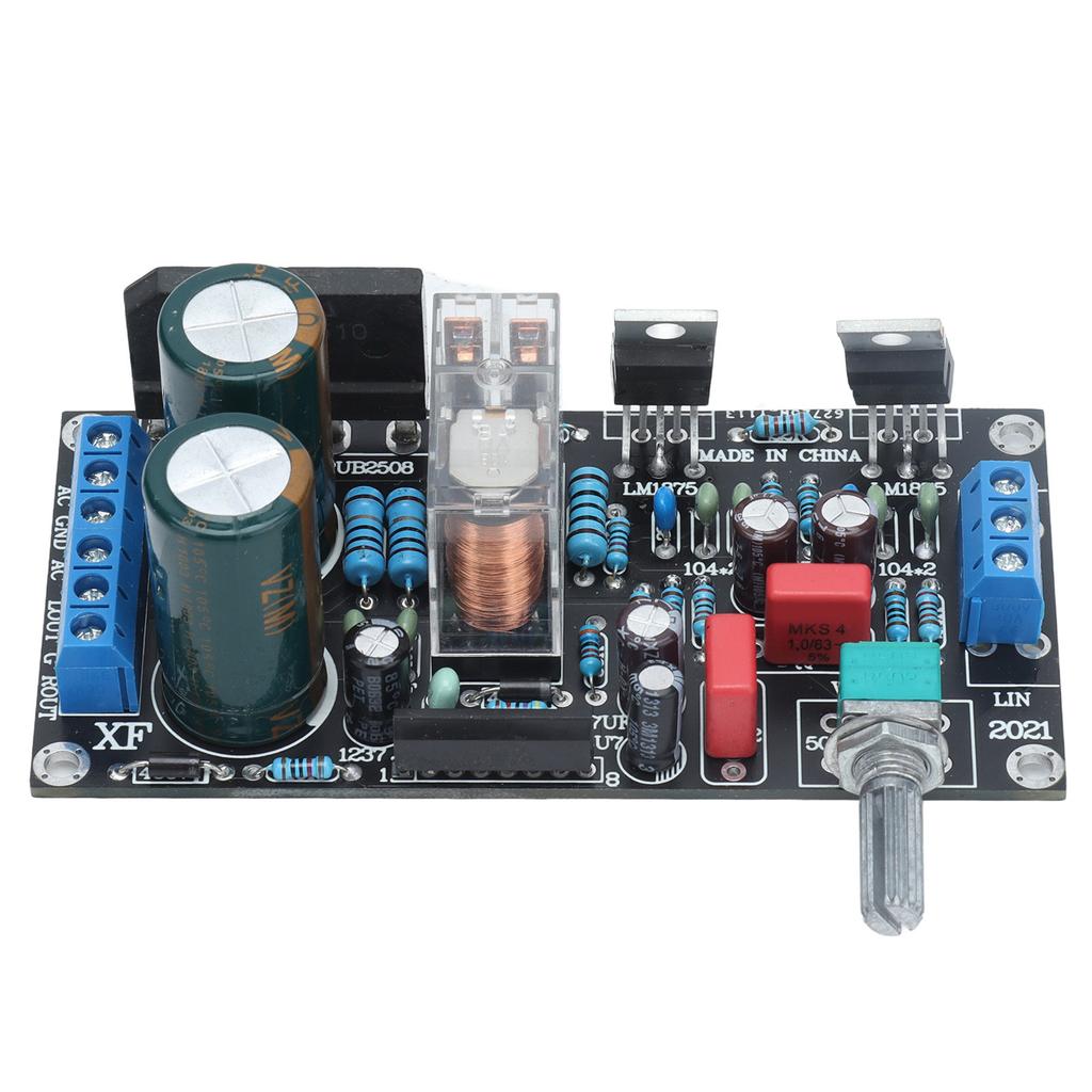 Scheda Amplificatore 2.0 Doppio Canale Protezione Altoparlanti Volume Regolabile LM1875T per 2030