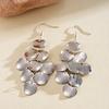 European and American round geometric round fringed ear hook retro temperament exaggerated earrings niche high fashion earrings