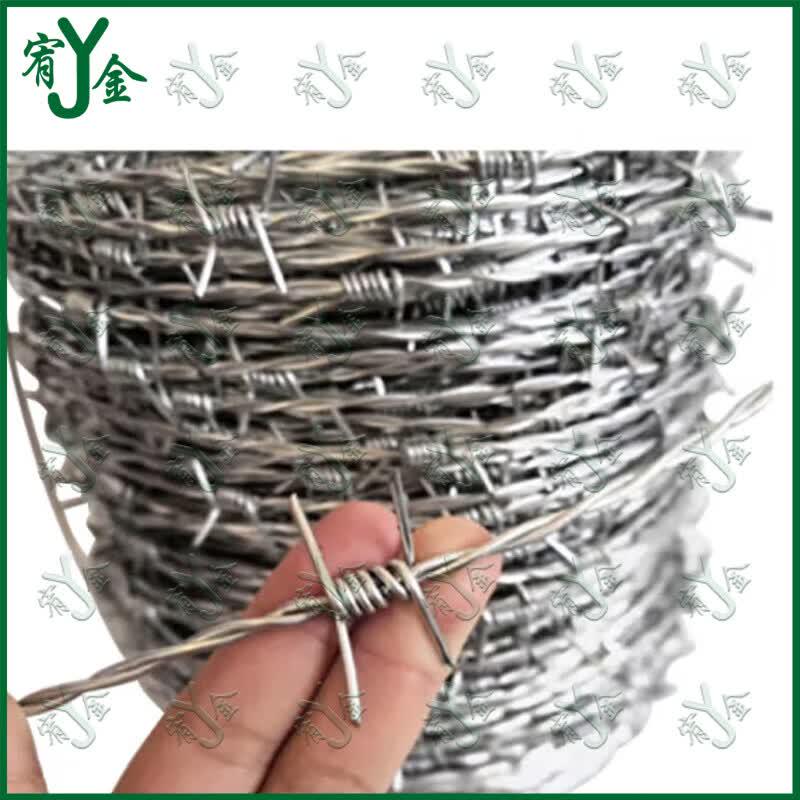 Youjin Galvanized Security Barbed Wire