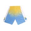 Mitchell Ness Basketball Shorts Men's Blue Moderate Straight Fit Pants SMSH4280-DNU06PPPYWBL
