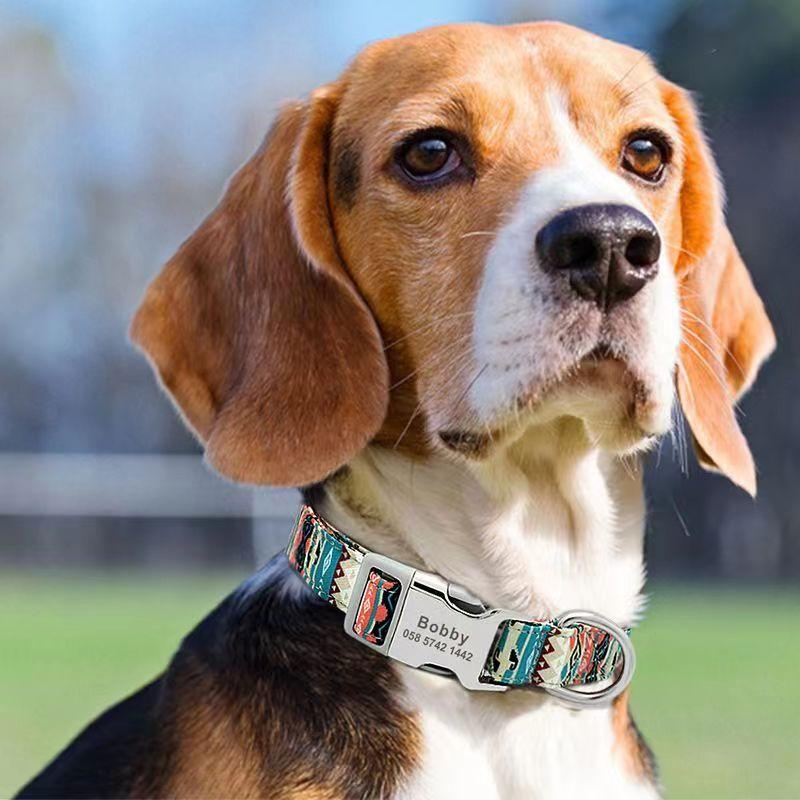 Customized Dog Collar DIY Name Pet Collar Engraved ID Tag Nameplate for Small Medium Large Dogs