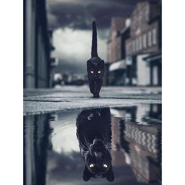 5D DIY Diamant Malerei Katze Strass Bild Diamant Stickerei Reflexion Tier Kreuzstich Mosaik Tiger Wandkunst