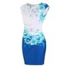 Sleeveless Dress Womens Slim Fit Mini Dress Party Dress Evening Floral Printed