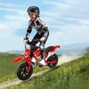 Kids Electric Dirt Bike C6,12'' 300W Brushless Motor,3-Speed LCD,16km/h,LED Controller,Moto Sound,12km Range,Electric Motorcycle for Childer