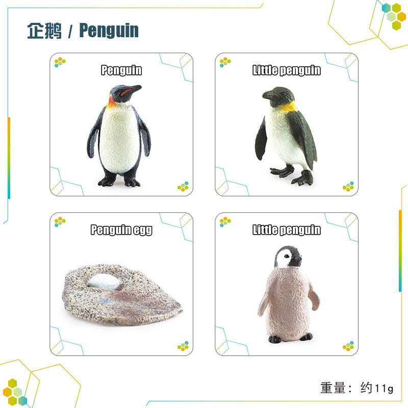 Children'S Science And Education Cognition 16 Animal, Plant And Insect Life Cycle Cards Early Childhood Education Card Toys