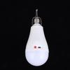 1 Set 15/20W Battery Powered E27 Led Light Bulbs With Hook For Emergency Light Usb Rechargeable Light Bulb
