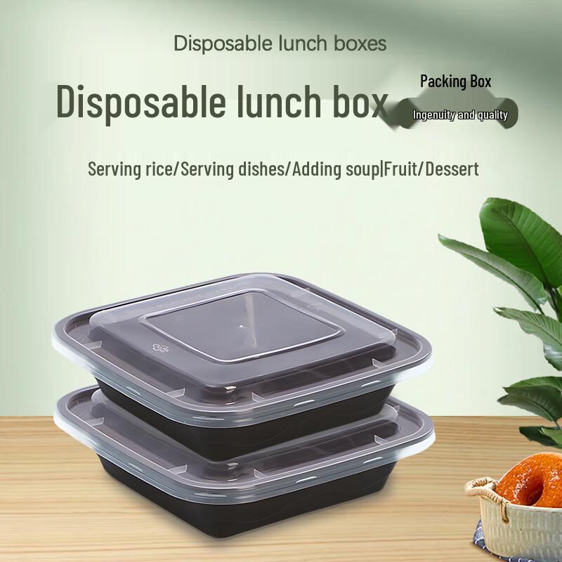 Ronghe 650ml Square Disposable Takeout Food Container