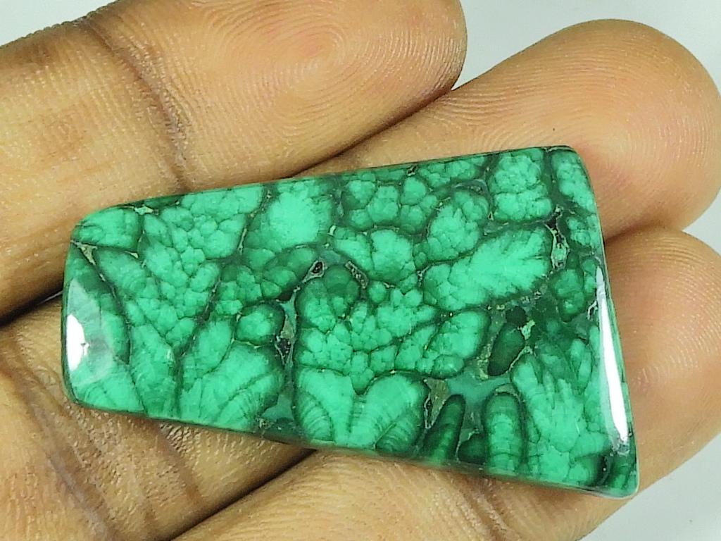 

24X39X04MM Natural Malachite Fancy Shape Cabochon Loose Gemstone 59Cts. SK-4605