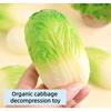 New Release Vegetable Cabbage Squeeze Toy For Kids Soft And Realistic Stress Relief Toy