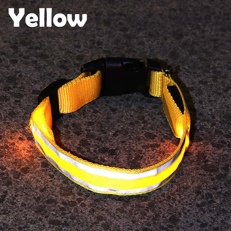 Buy AntiLost LED Illuminated Dog Collar Pet Products Walking Dog at