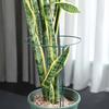 Plant Stand Rustproof Garden Plant Support Climbing Frame Durable Iron Plant Holder for Tomatoes Peonies Balcony Office Yard