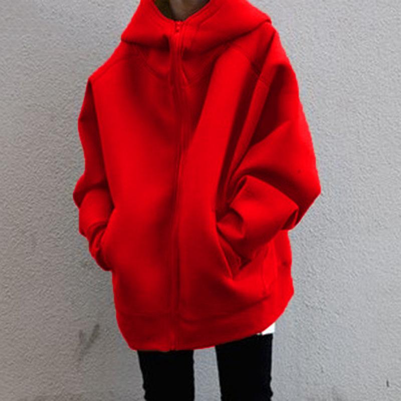 2025 Autumn and Winter New Personality Street Sweater Zipper Hooded Long Fleece Sweater