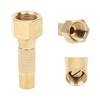 Mandrins à visser Portables en Laiton Valve de Gonflage de Pneu 1 4in NPT Filetage Intérieur pour Voiture Vélo Moto