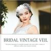 Decorative Hat with Veil and Floral Mesh Clip, White Tea Party Headpiece for Women Wedding Cocktail Special Occasion Accessories