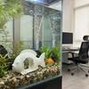 Non-Toxic Fish Shrimp Shelter Plastic Reptile Habitat Underwater Hiding House  Office Decor