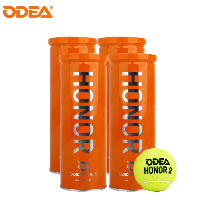 Tennisbollsburkar ODEA Professionell Ullfilt Gummi ITF Godkänd Elasticitet Tävling Träning Tennis Cricketboll