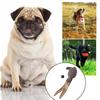 Training Dummy Retrieving Dog Toy for Outdoor Interactive Pet Chasing Toy Fowl Dogs Training Toy Pheasant Pet Supplies