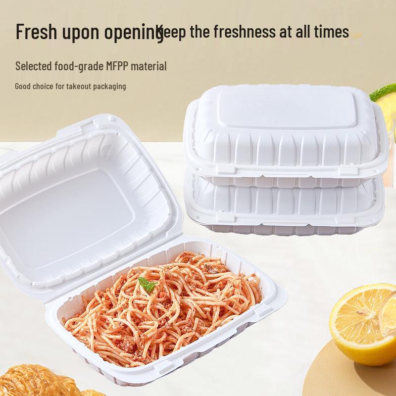 Biodegradable Three-Compartment Bento Box with Hinged Lid