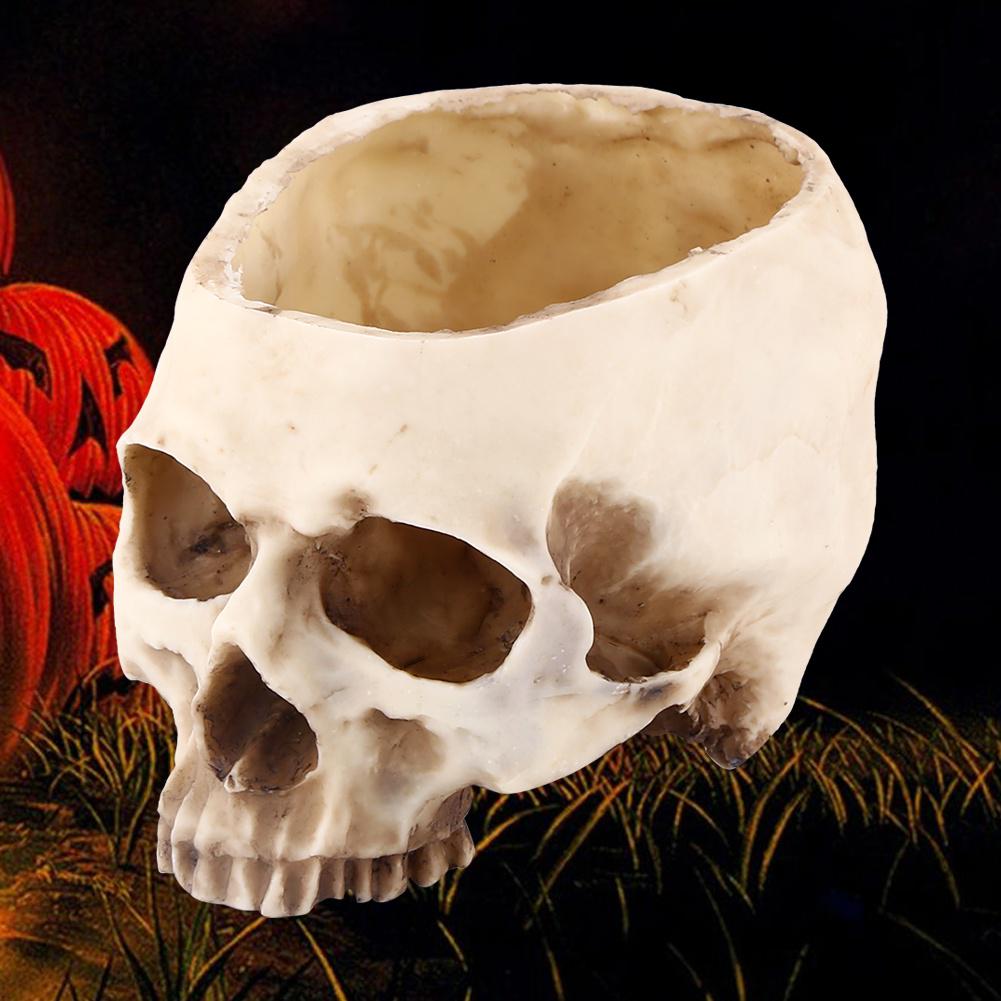 Head Flower Pot Resin Skull Head Design Grass Plant Pot Box Container Replica Home Bar Decor Head Flower Pot Resin Skull Head Design Grass Plant Pot Box Container Replica Home Bar Decor