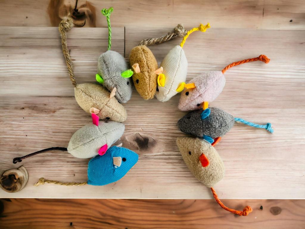 Cat Hapi Cat Chew Toy, Supervised by Cat Cafe Manager, 9 Mouse Toys, Teeth Brushing