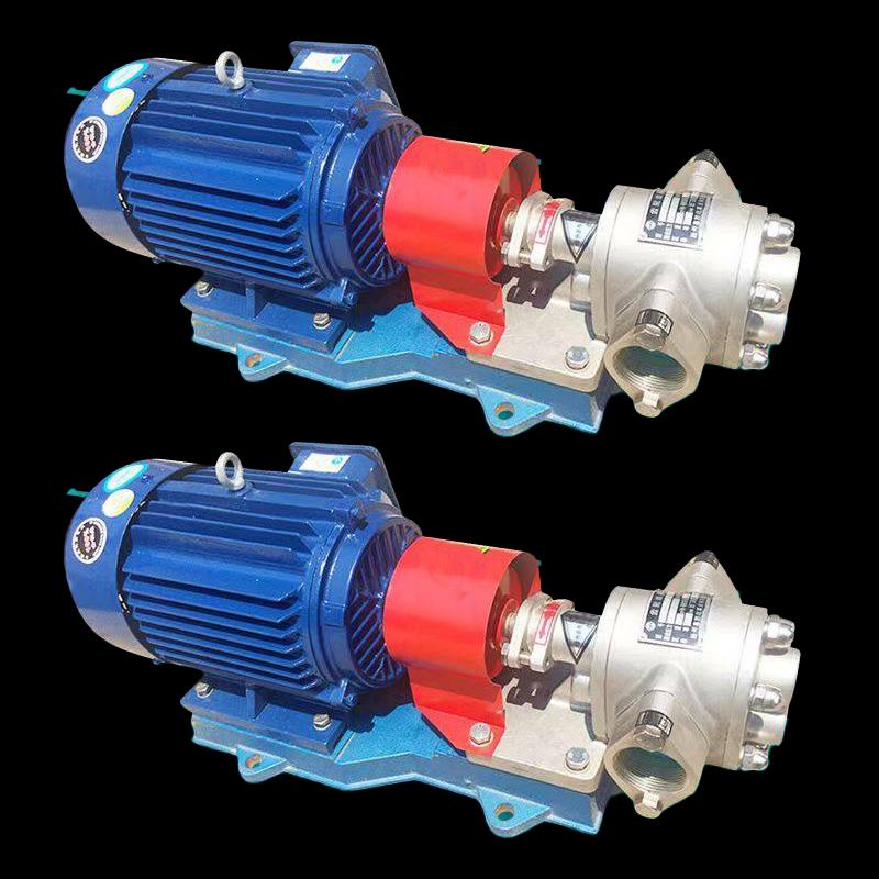 Jingrong 304 Stainless Steel Gear Oil Pump with Motor
