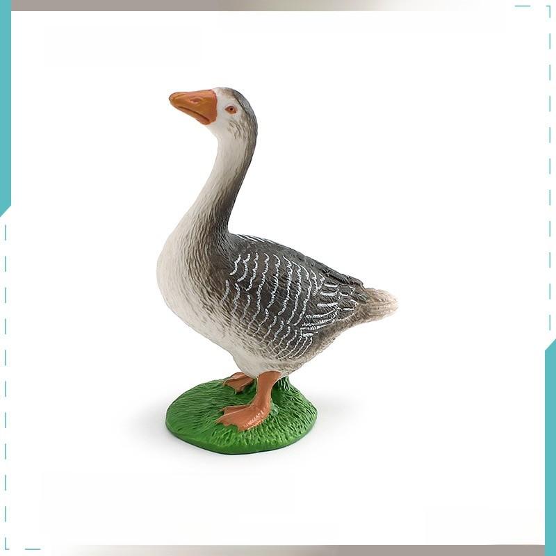 Farm Animal Chicken Duck Goose Model Set For Kids Education And Home Decor With Pvc Realistic Bird Figures