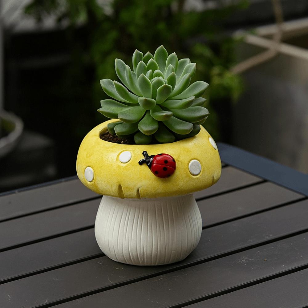 Modern Flower Pot Exquisite Hydroponic Plant Utensils Hydroponic Flower Holder  Succulent
