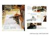 Kazuo Oga Art Collection II