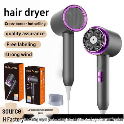 High-Power Foldable Hair Dryer with Blue Light Ion Technology for Home Use