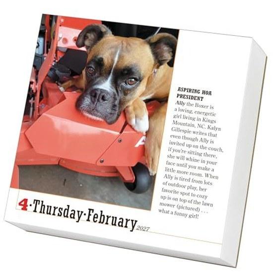 365 Dogs Page-A-Day Calendar 2027 Worlds Favorite Dog