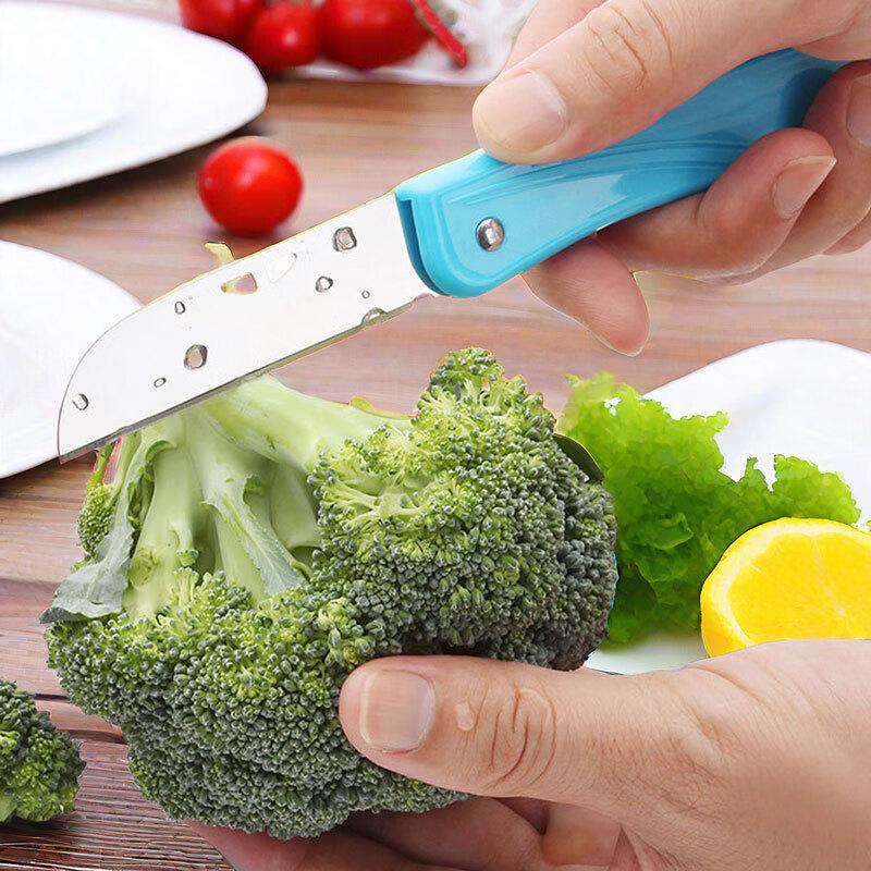 ZISIZ Foldable Stainless Steel Fruit Knife & Peeler