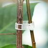 Plant Support Clips Reusable Plastic Garden Clips Tomato Vine Grape Flowers Vegetable Stems Secure Grip Retaining Clips