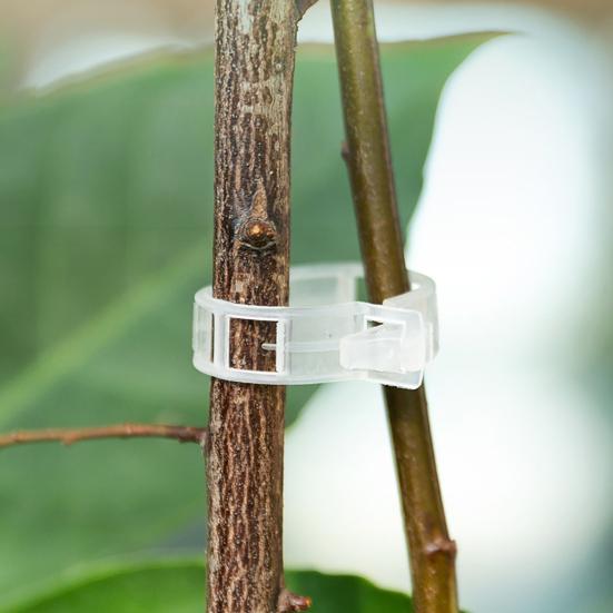 Plant Support Clips Reusable Plastic Garden Clips Tomato Vine Grape Flowers Vegetable Stems Secure Grip Retaining Clips